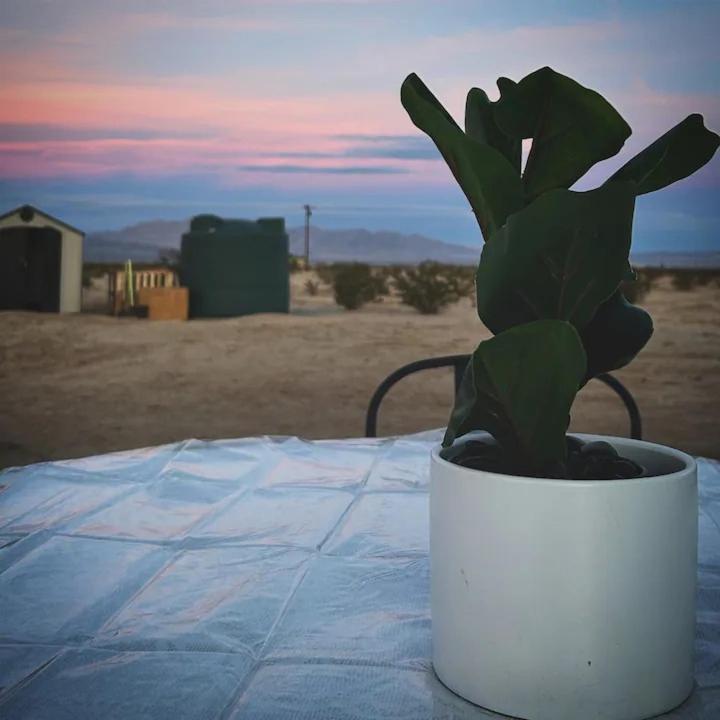Serene Modern Home Backdoor With Great Wifi, Games, Movies, Patio Seating And Bbq Easy Access To North Joshua Tree National Park In 10 Minutes トウェンティナイン・パームズ エクステリア 写真